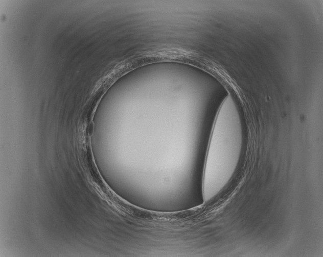 X0000084010585200702160827