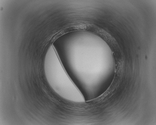 X0000084010600200702160827