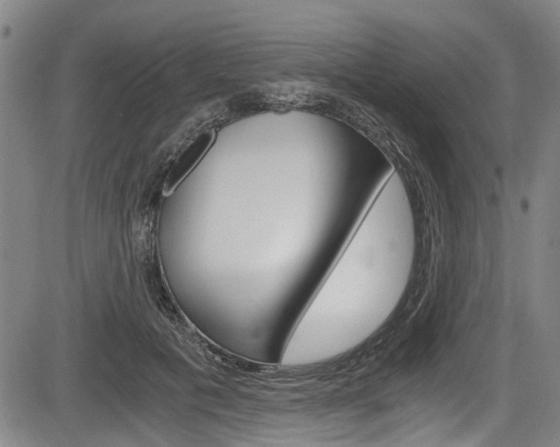 X0000084010601200702160827