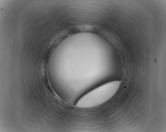 X0000084010604200702160827