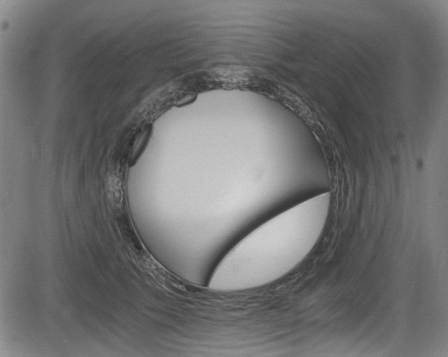 X0000084010609200702160827