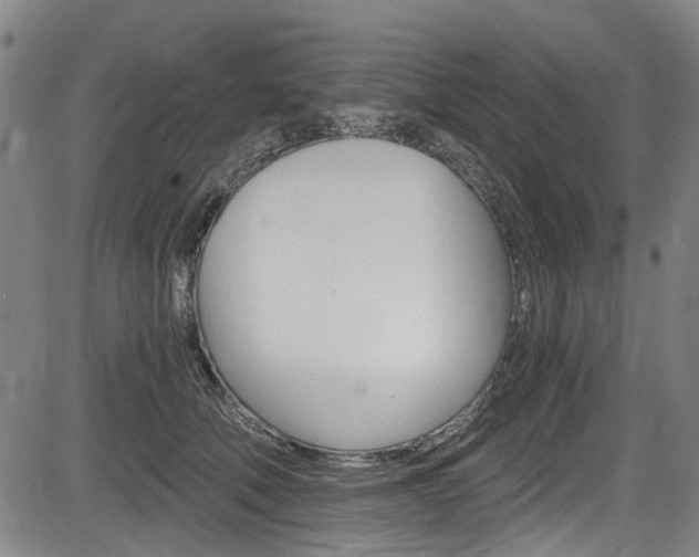 X0000084010610200702160827