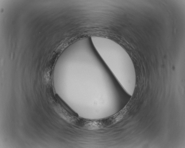 X0000084010611200702160826