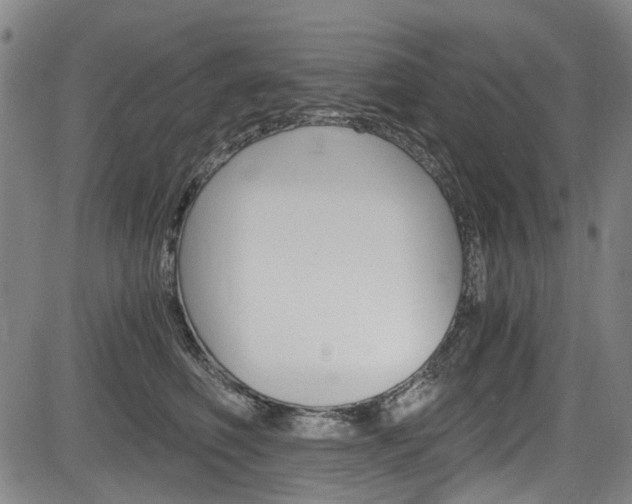 X0000084010614200702160826