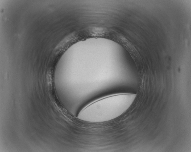 X0000084010620200702160826