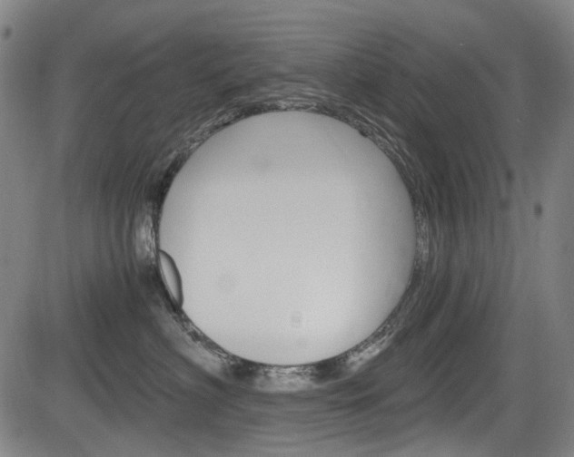 X0000084010622200702160826