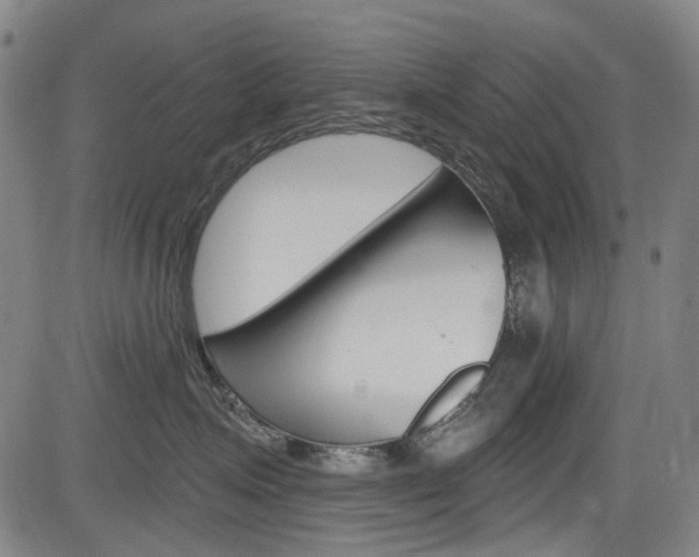 X0000084010623200702160826
