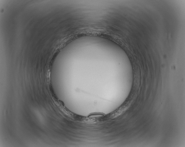 X0000084010624200702160826
