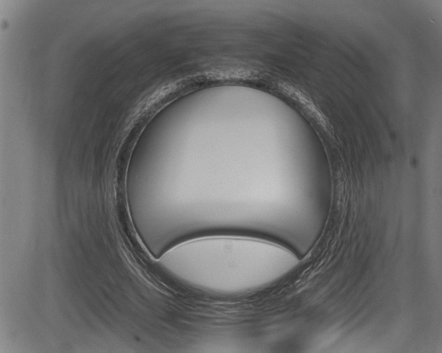 X0000084010631200702160826