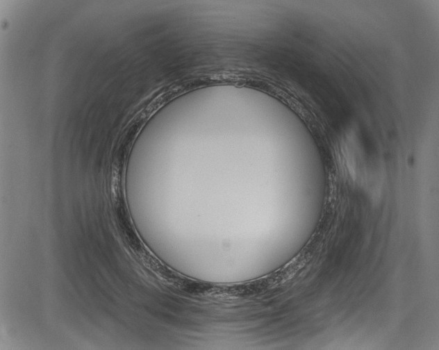 X0000084010648200702160826