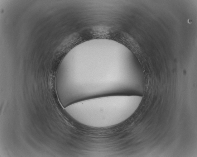 X0000084010658200702160826