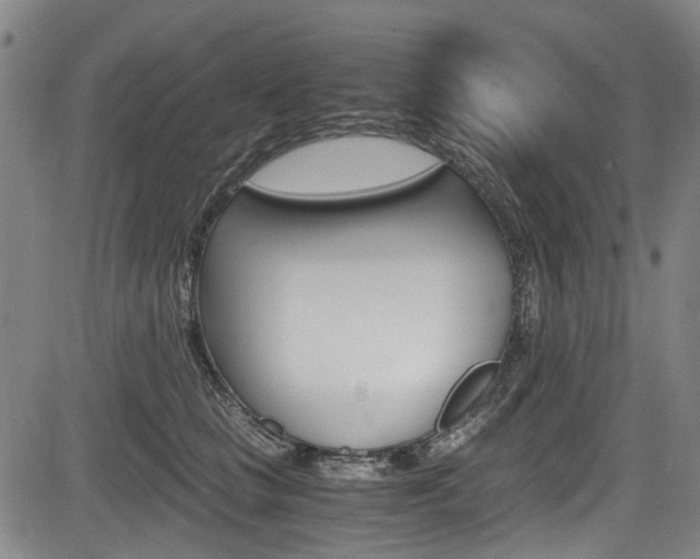 X0000084010661200702160826