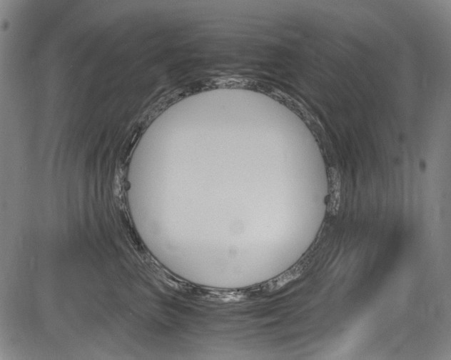 X0000084010667200702160826