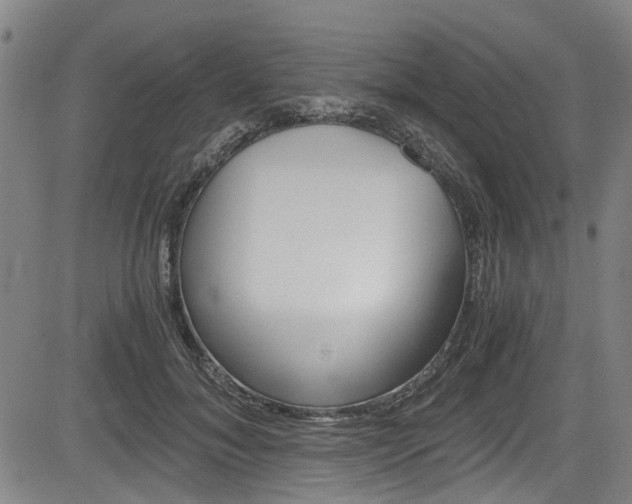 X0000084010700200702160825