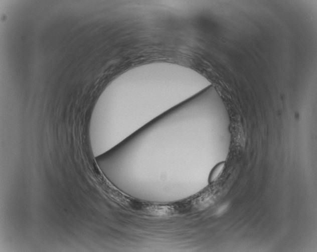 X0000084010711200702160825