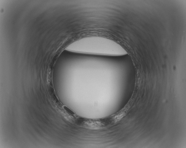 X0000084010712200702160825