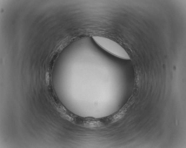 X0000084010716200702160825