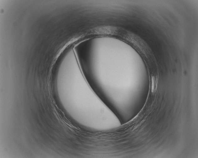 X0000084010723200702160824