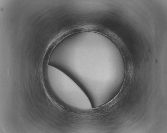 X0000084010730200702160824