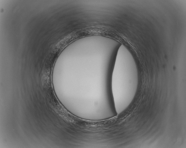 X0000084010737200702160824