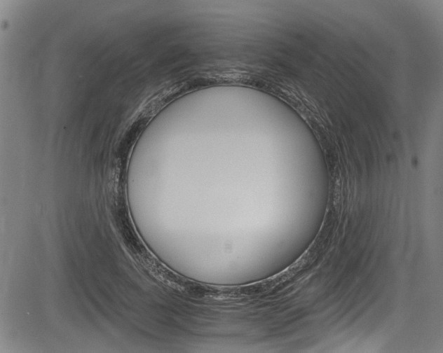 X0000084010739200702160824