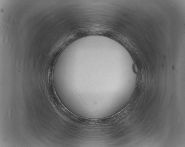 X0000084010742200702160824