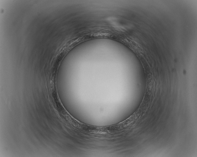 X0000084010743200702160824