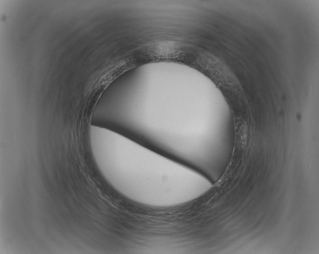 X0000084010746200702160824