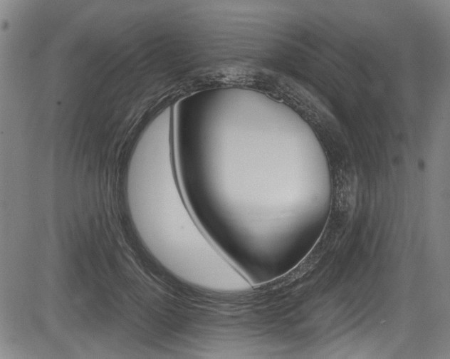 X0000084010748200702160824