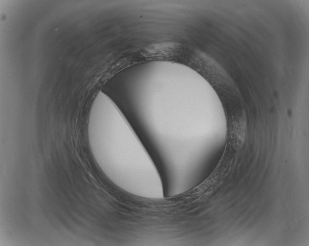 X0000084010751200702160824
