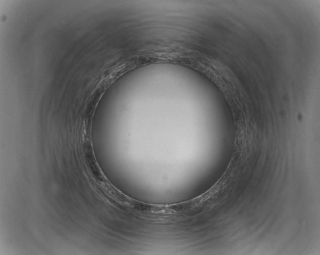 X0000084010752200702160824