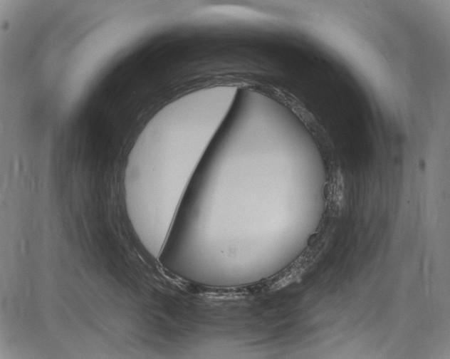 X0000084010763200702160825