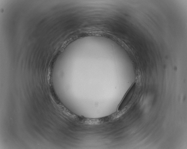 X0000084010767200702160825