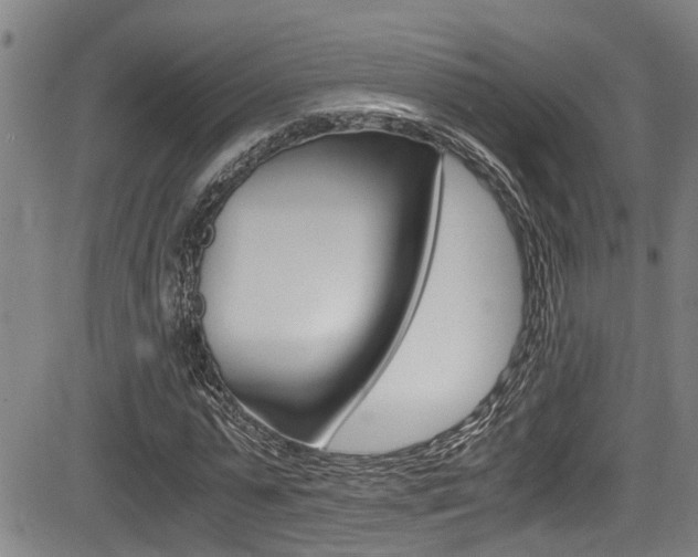 X0000084010775200702160824