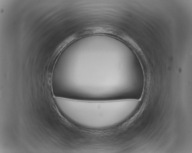 X0000084010793200702160824