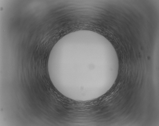X0000084010818200702160822