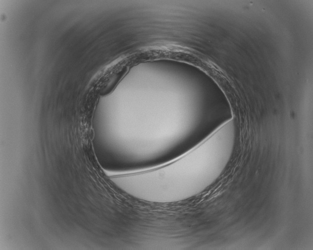 X0000084010822200702160822