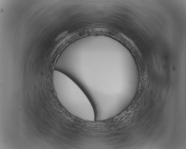X0000084010823200702160822