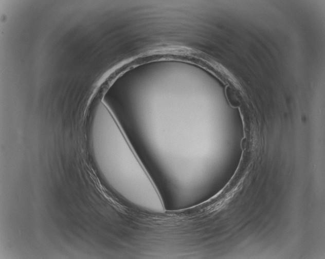 X0000084010830200702160823