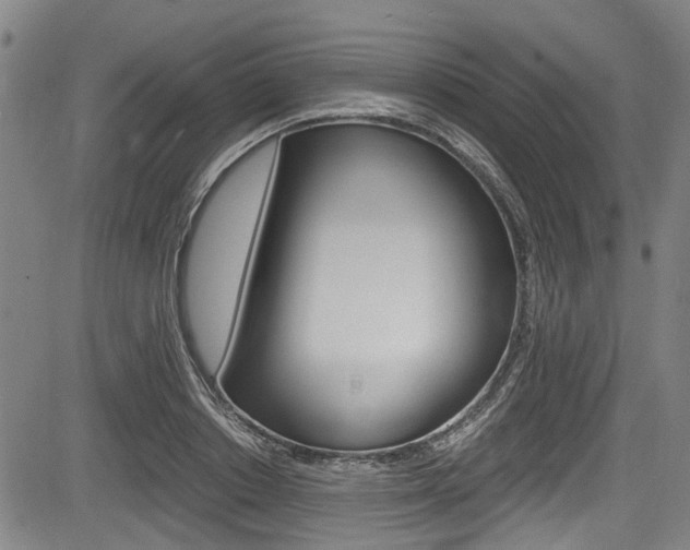 X0000084010842200702160823