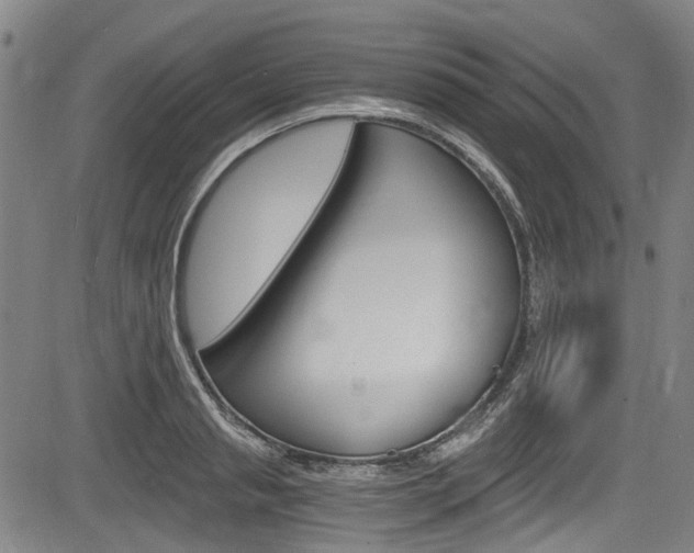 X0000084010845200702160823
