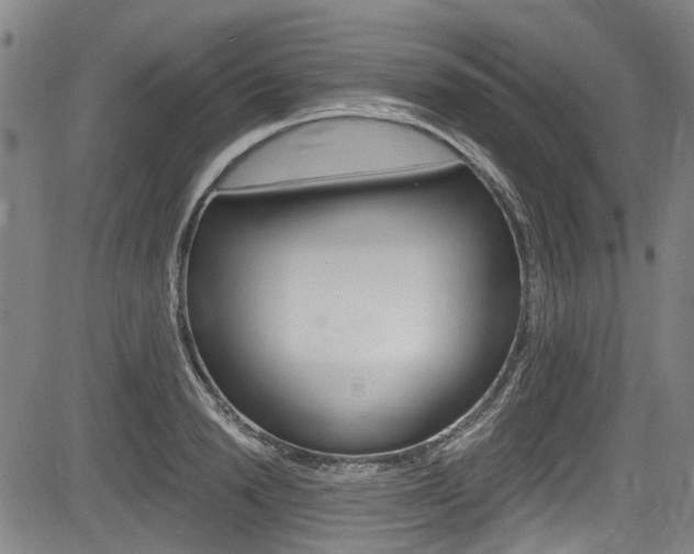 X0000084010846200702160823