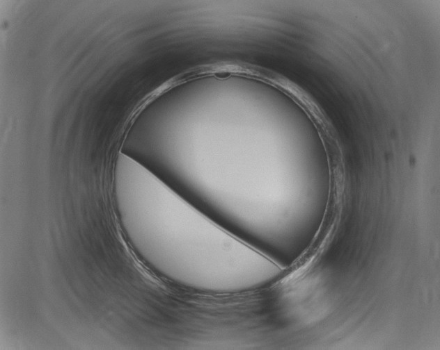 X0000084010857200702160823