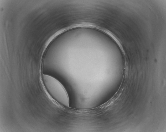 X0000084010861200702160823