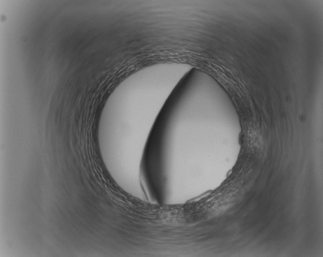 X0000084010865200702160822