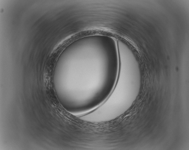 X0000084010872200702160822