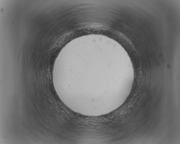 X0000084010918200702160821
