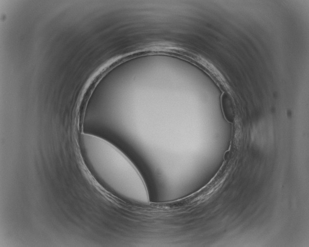 X0000084010939200702160821