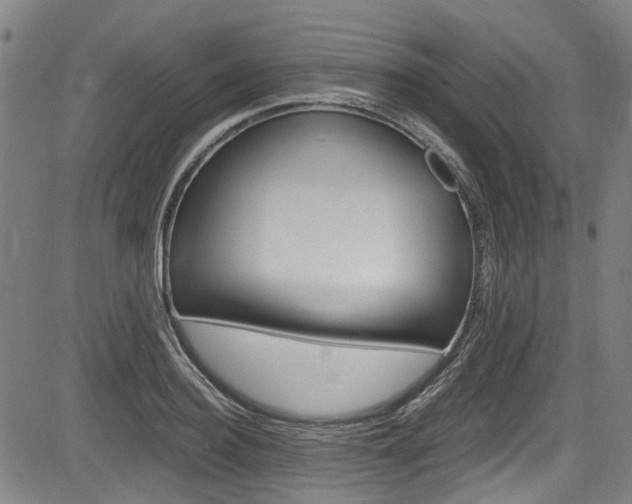 X0000084010940200702160821