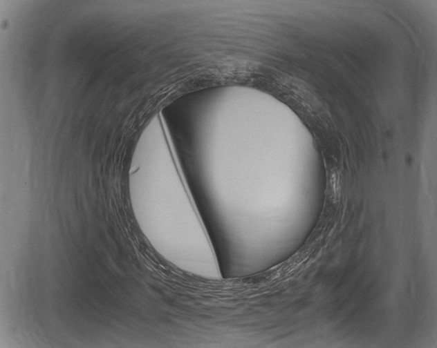 X0000084010963200702160821
